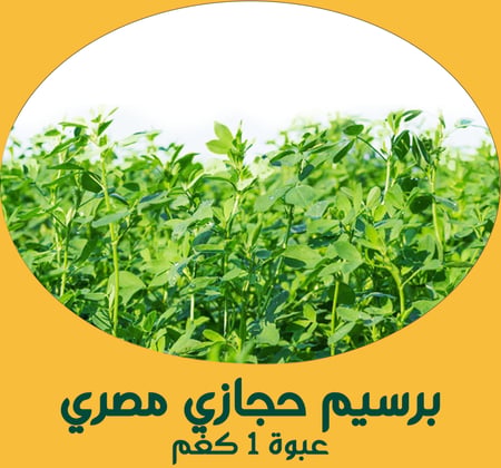 برسيم حجازى مصري (أبو غزال) 1 كغم