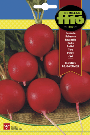 فجل أحمر رداوندو باكت 20 غم