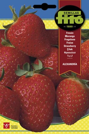 فراولة الإسكندرية باكت 10 غم