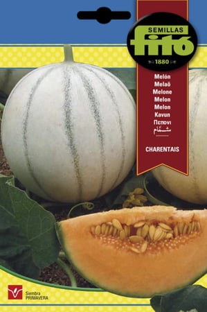 شمام جارانتيس باكت 10 غم