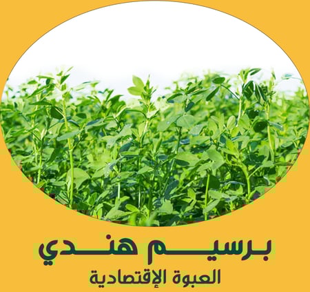 برسيم هندي ( العبوة الإقتصادية )