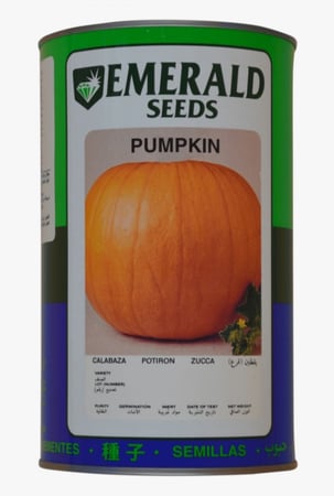 قرع ( يقطين ) بغ ماكس امريكي علبة 400 غم - ايميرالد