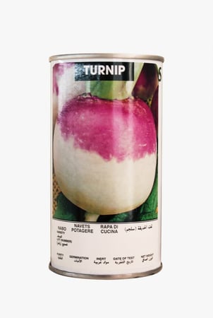 لفت توب وايت جلوب علبة 50 غم - ايميرالد