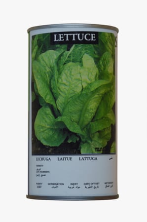 خس هجين باريس ايلاند علبة 50 غم - ايميرالد