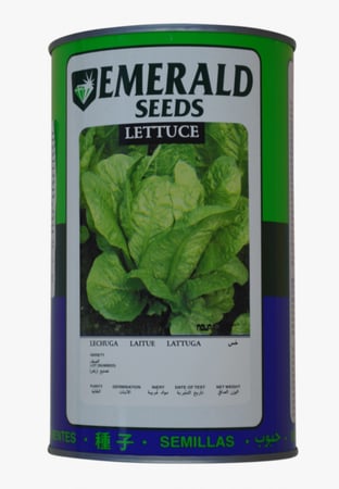 خس هجين باريس ايلاند علبة 400 غم - ايميرالد