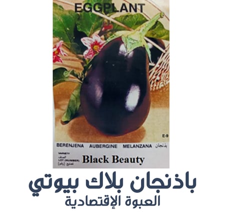 باذنجان بلاك بيوتي ( العبوة الإقتصادية )