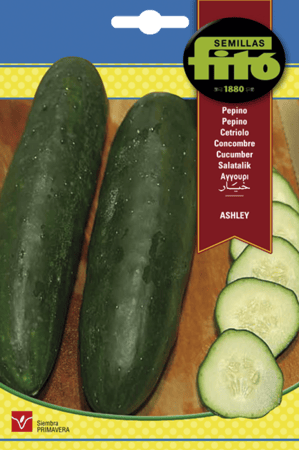 خيار أشلي باكت 10 غم