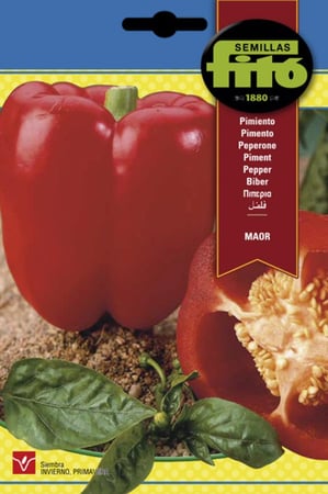 فلفل بارد مايور باكت 3 غم