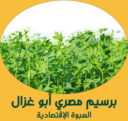برسيم مصري أبو غزال ( العبوة الإقتصادية )