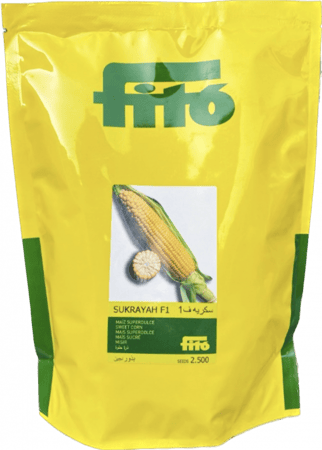 ذرة حلوة سكرية F1 للحقل المكشوف 2500 بذرة