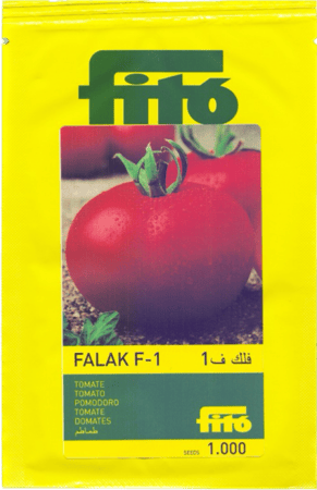 طماطم فلك F1 للبيت المحمي 1000 بذرة