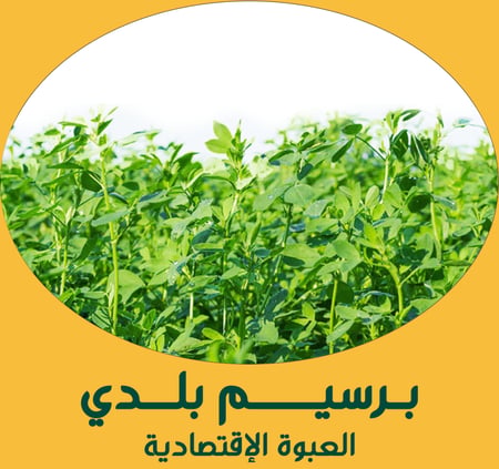 برسيم بلدي ( العبوة الإقتصادية )