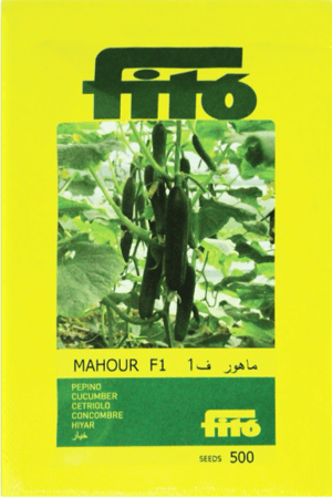 خيار ماهور F1 للبيت المحمي 500 بذرة