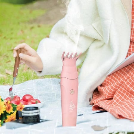 مبخرة كهربائية