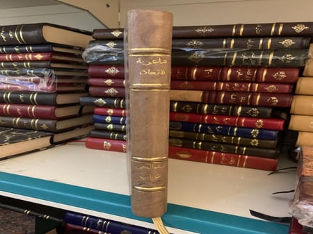 شاعرية العقاد في ميزان النقد الحديث ( أصل ) ت: عبد الحي دياب