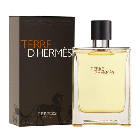 عطر هيرمس تيري دي هيرمس او دو تواليت رجالي 100مل