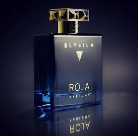 عطر روجا اليسيوم رجالي بارفيوم 100مل (تستر)