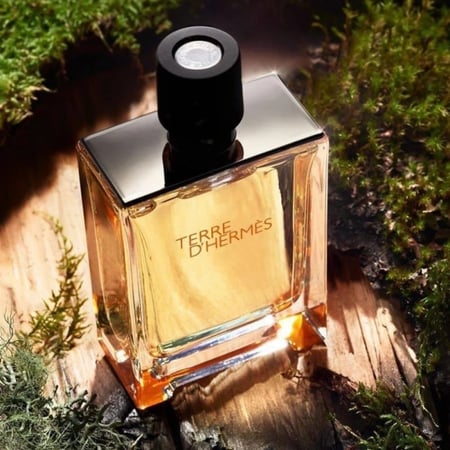 عطر هيرمس تيري دي هيرمس او دو تواليت رجالي 100مل