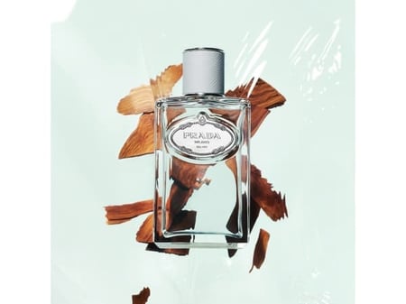 عطر برادا انفيوجن دي سيدار او دو بارفيوم 100 مل