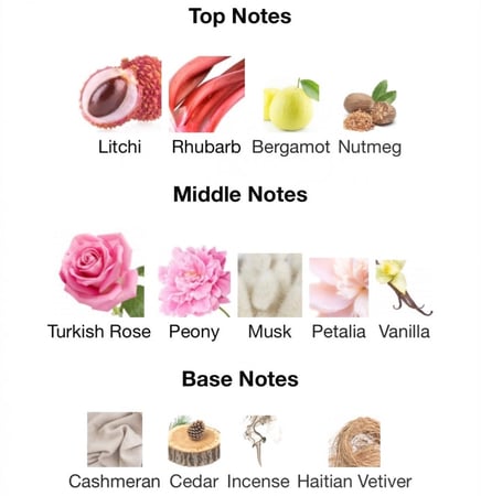 Lady   100ML