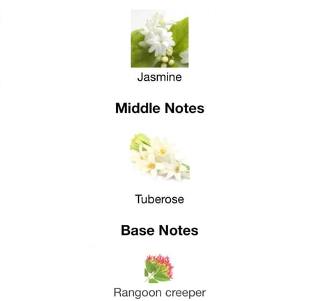 Jasmine   100ML