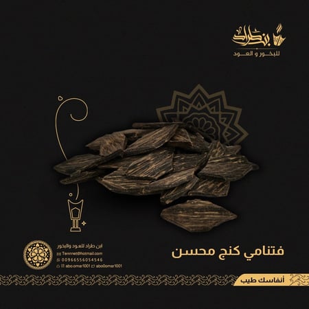 فتنامي كنق محسن