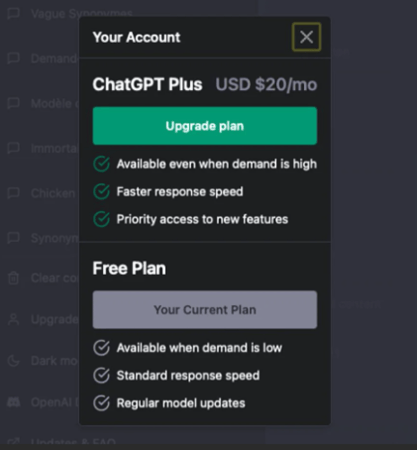 شات جي بي تي بلس - 12 شهر - ChatGPT Plus