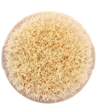 فرشاة الجسم الجافة