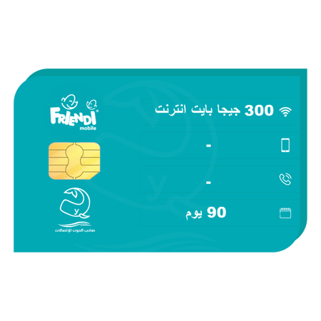 شريحة انترنت فرندي 300 جيجا لمدة 90 يوم