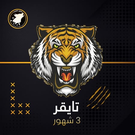 باقة تايقر - 3 شهور - TIGER