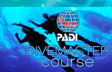 دورة dive master