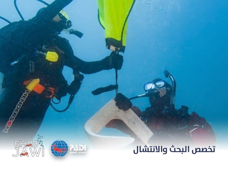 تخصص  البحث والانتشال