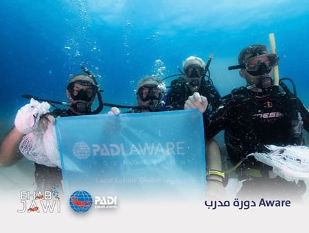 دورة مدرب  Aware