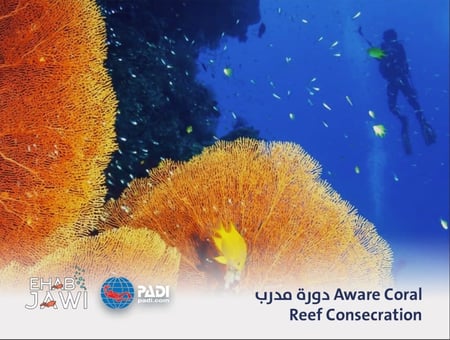دورة مدرب  Aware Coral  Reef Consecration