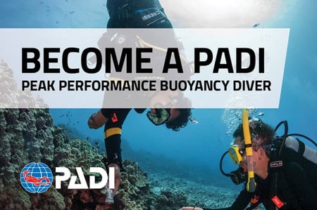 دورة تخصص الطفو المثالي