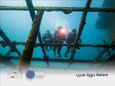 دورة مدرب  Aware