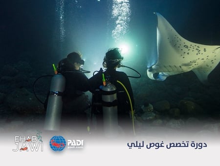 دورة تخصص غوص ليلي