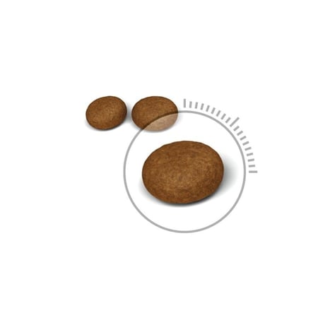 رويال كانين HAIR & SKIN طعام جاف للقطط، للعناية بالجلد والفراء 4 كيلو