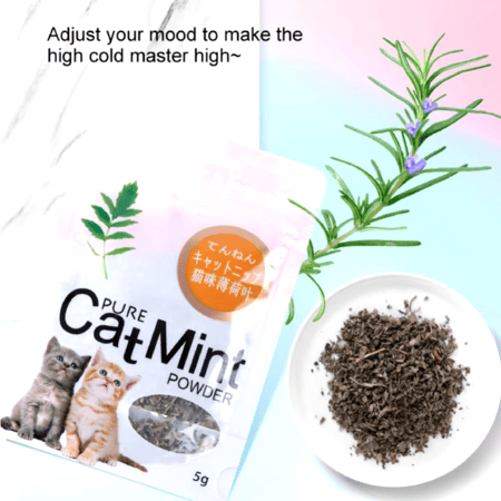 كاتنيب لتخفيز القطط   5جرام