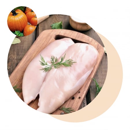 سقنشر7 طعام رطب - لمحاربة الشيخوخة - بالدجاج ومرقة اليقطين 70 جرام