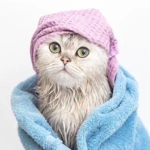 باقة الترويش الجاف بدون ماء (تنظيف بالرغوة - قص اظافر - تنظيف وجه)