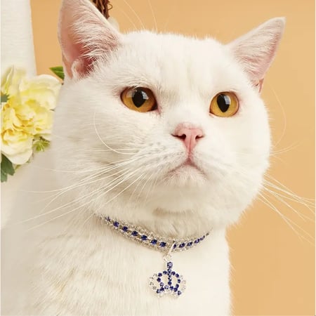 طوق مع قلادة للقطط والجراء قابل للتعديل