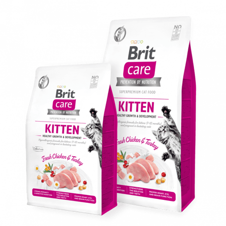 بريت طعام جاف  للقطط الصغيرة والحوامل والمرضعات 7 كيلو