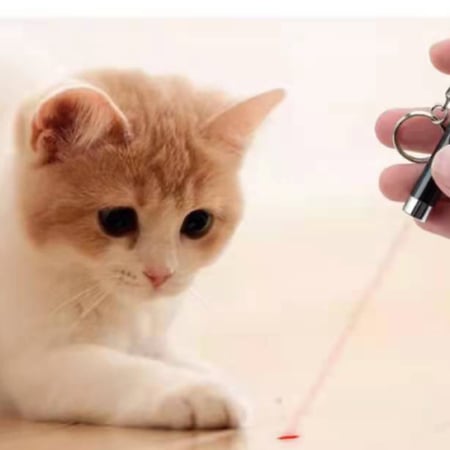 لعبة الليزر للقطط برسومات مضاءة جذابة