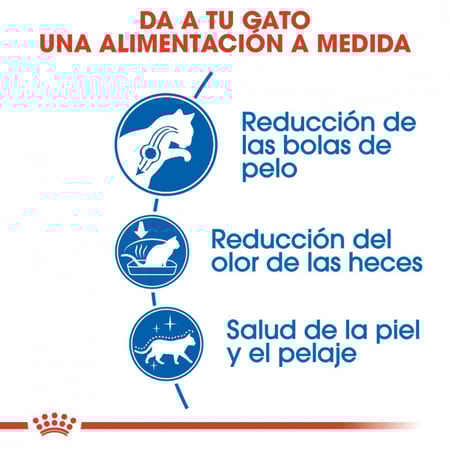 رويال كانين Indoor Longhair طعام جاف للعناية بالشعر الطويل  2 كيلو