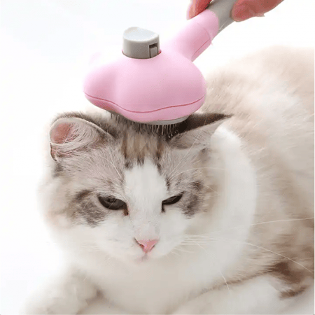 مشط للقطط والكلاب مع ضغاط