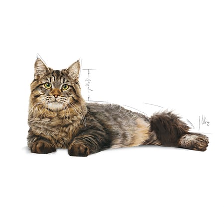 رويال كانين URINARY طعام جاف للعناية باللمسالك البولية للقطط 400 جرام