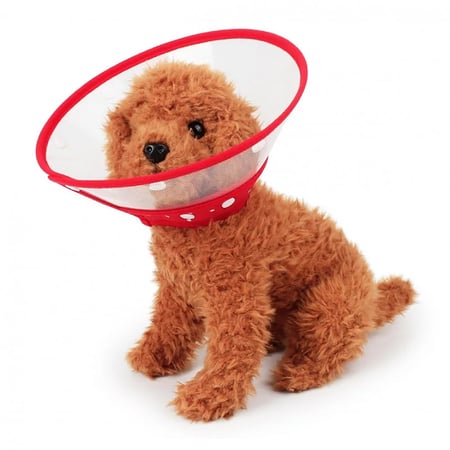 طوق الحماية الطبي للحيوانات الاليفة مقاس S