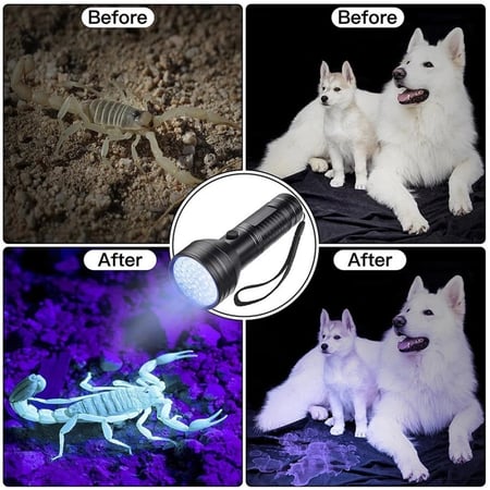 كاشف LED للفطريات بإضاءة فوق بنفسجية للقطط والكلاب