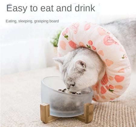 طوق قطط صنع من القطن